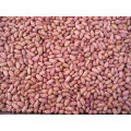 New Crop High Quality Peanut Kernel with Red Skin